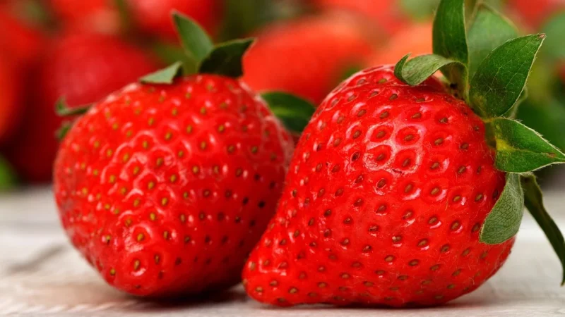 Alergeny w żywności: wymogi znakowania i najczęstsze błędy producentów